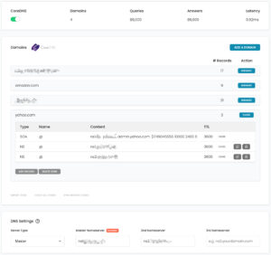 Dns cluster settings